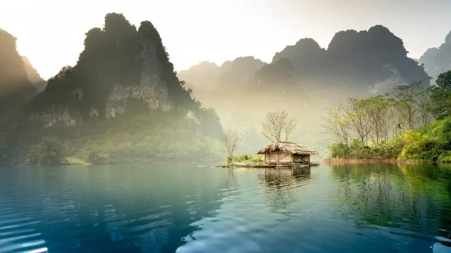 稳定性智慧